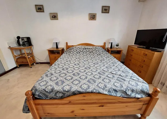 Le Chateau Durieux 1 - Spacieux En Plein Centre ! Mae-7364 公寓 艾克斯莱班